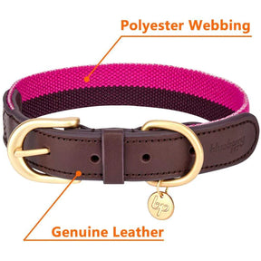 Blueberry Pet - Hot Pink & Purple | Full Grain Leather & Polyester Dog Collar