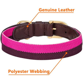 Blueberry Pet - Hot Pink & Purple | Full Grain Leather & Polyester Dog Collar