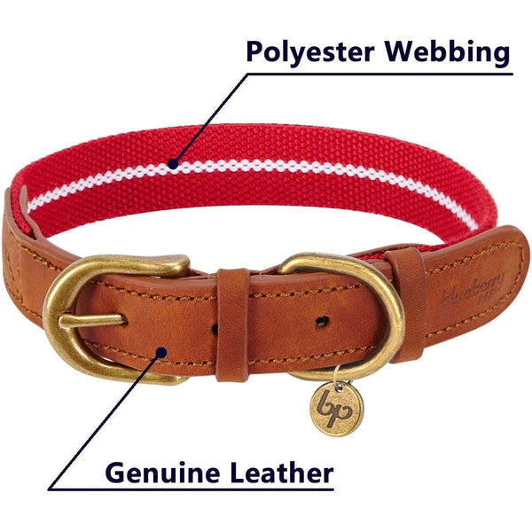 Blueberry Pet - Red & White | Full Grain Leather & Polyester Dog Collar - Southern Agriculture 