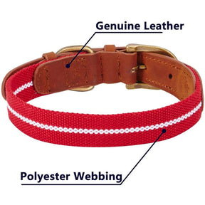 Blueberry Pet - Red & White | Full Grain Leather & Polyester Dog Collar - Southern Agriculture 
