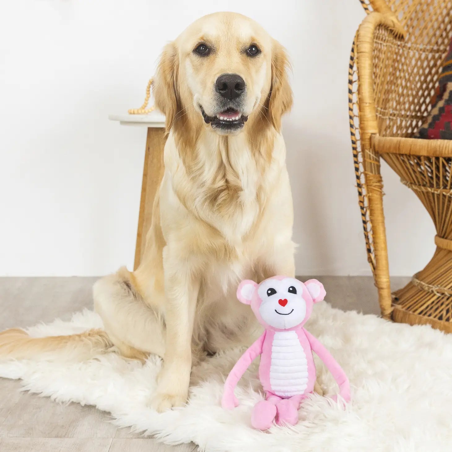 Petshop by Fringe Studio - Monkey Love Dog Toy - Southern Agriculture 