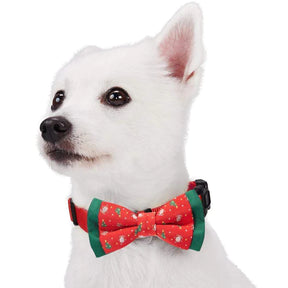 Blueberry Pet - Stay Festive Bow Tie Set