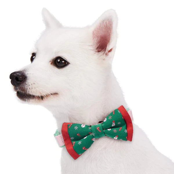 Blueberry Pet - Stay Festive Bow Tie Set