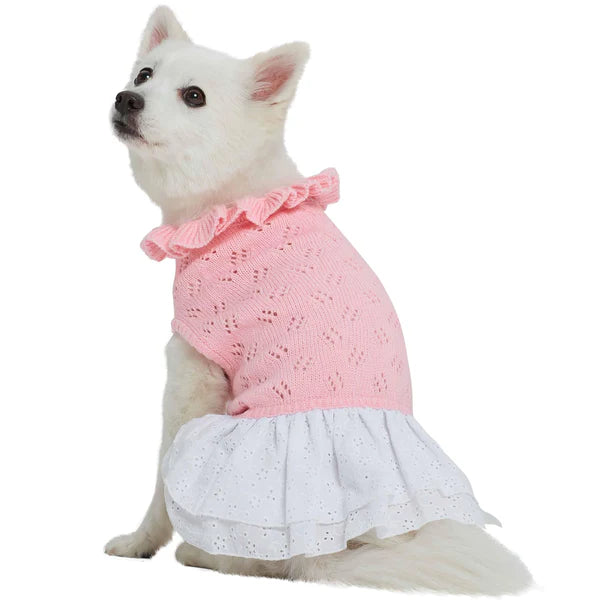 Blueberry Pet - Pink | Dog Sweater Dress