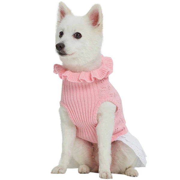 Blueberry Pet - Pink | Dog Sweater Dress