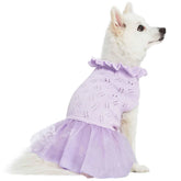 Blueberry Pet - Lavender | Dog Sweater Dress