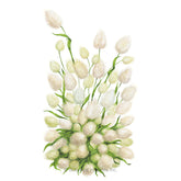 Botanical Interests, Inc. - Grass Bunny Tails Seeds - Southern Agriculture 