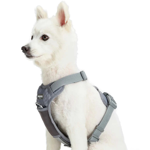 Blueberry Pet - Grey | Reflective Mesh Padded No Pull Dog Harness Vest