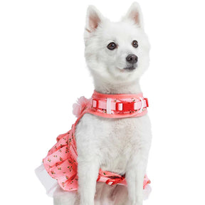 Blueberry Pet - Rose Baby Pink | Made Well Floral Dog Dress Harness