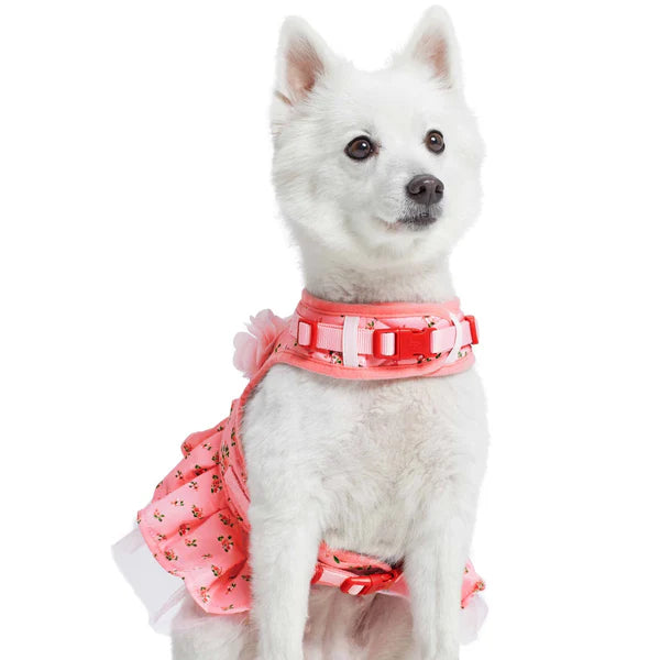 Blueberry Pet - Rose Baby Pink | Made Well Floral Dog Dress Harness