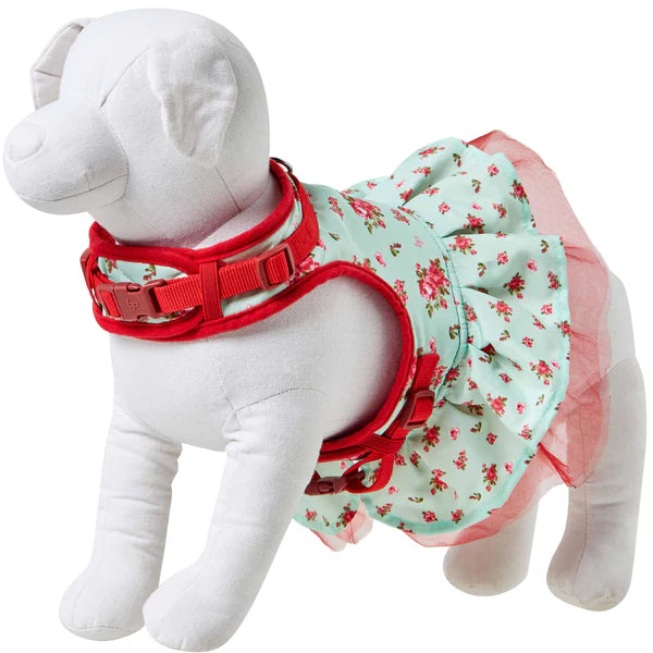 Blueberry Pet - Turquoise | Made Well Floral Dog Dress Harness