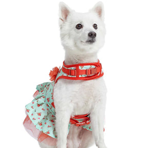 Blueberry Pet - Turquoise | Made Well Floral Dog Dress Harness