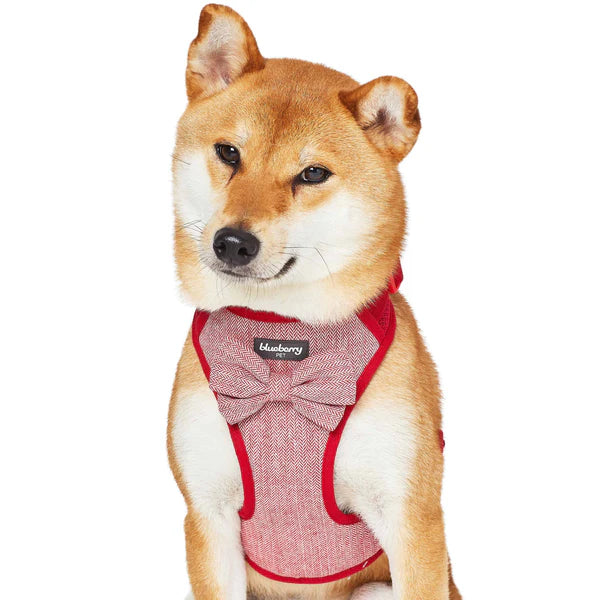 Blueberry Pet - True Red | Textured Tweed Dog Harness Vest