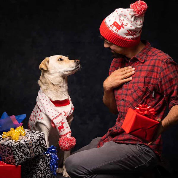 Blueberry Pet - Winter Hat for Men
