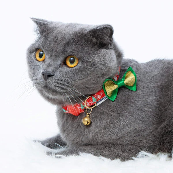 Blueberry Pet - Perfect Snowman | Holiday Fun Cat Collar
