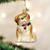 Old World Christmas - Bull Pup Ornament