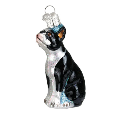 Old World Christmas - Boston Terrier Ornament