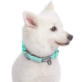 Blueberry Pet - Pastel Mint Blue | 3M Reflective Neoprene Padded Dog Collar