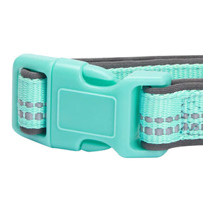 Blueberry Pet - Pastel Mint Blue | 3M Reflective Neoprene Padded Dog Collar