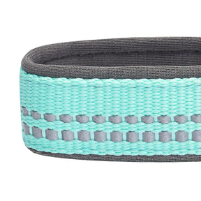 Blueberry Pet - Pastel Mint Blue | 3M Reflective Neoprene Padded Dog Collar