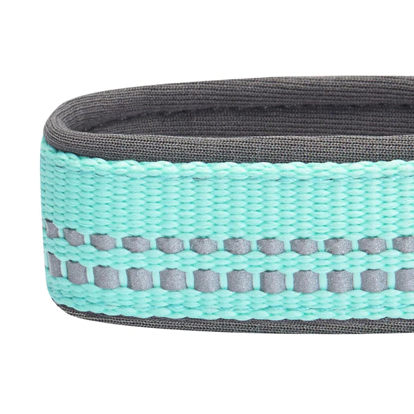 Blueberry Pet - Pastel Mint Blue | 3M Reflective Neoprene Padded Dog Collar