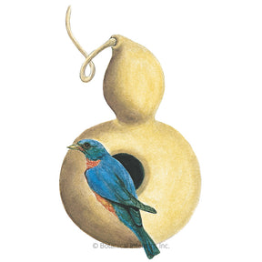 Botanical Interests, Inc. - Gourd Hard-Shelled Birdhouse Seeds