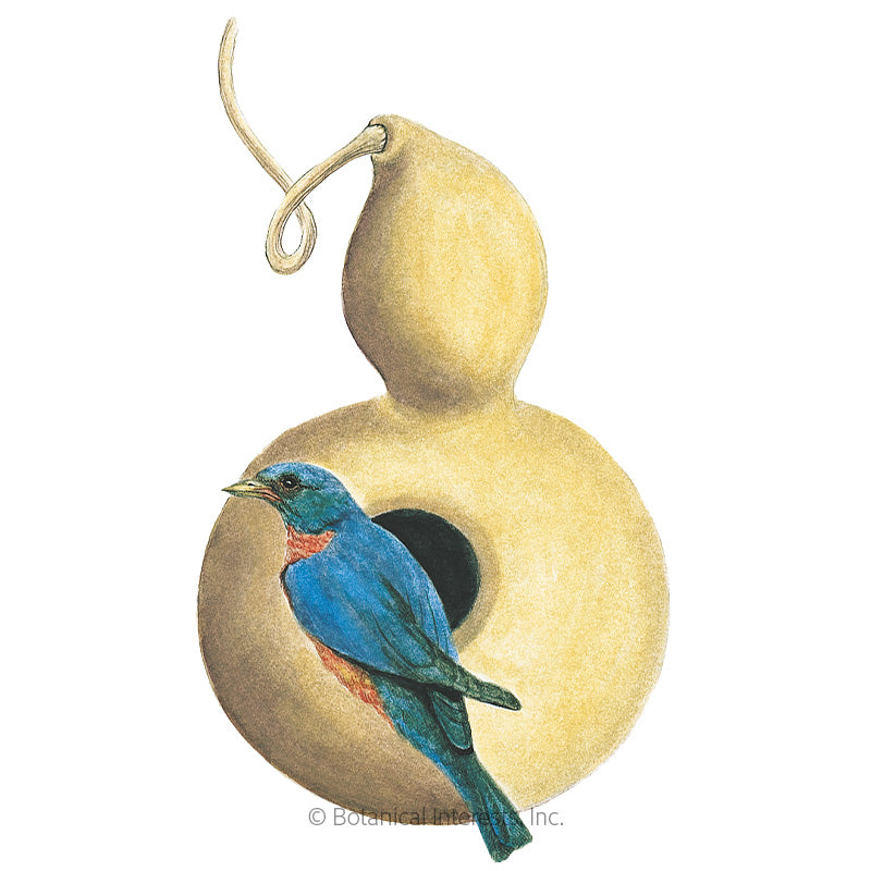 Botanical Interests, Inc. - Gourd Hard-Shelled Birdhouse Seeds