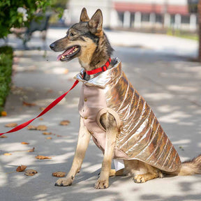 Blueberry Pet - Gold | Dog Puffer Jacket