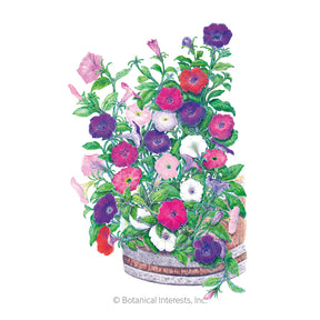 Petunia Petite Charmer Seeds - Southern Agriculture 