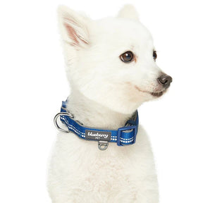 Blueberry Pet - Navy | 3M Reflective Neoprene Padded Dog Collar