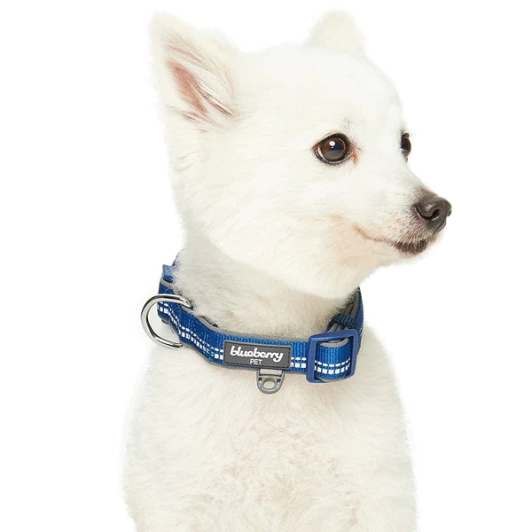 Blueberry Pet - Navy | 3M Reflective Neoprene Padded Dog Collar