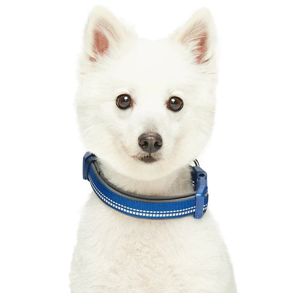 Blueberry Pet - Navy | 3M Reflective Neoprene Padded Dog Collar