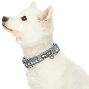 Blueberry Pet - Grey | 3M Reflective Neoprene Padded Dog Collar
