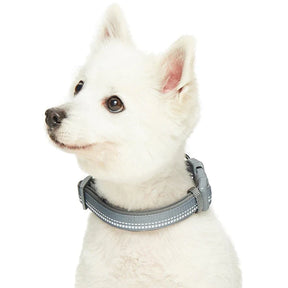 Blueberry Pet - Grey | 3M Reflective Neoprene Padded Dog Collar
