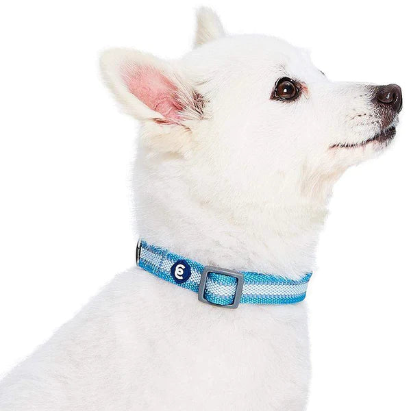 Blueberry Pet - Sky Blue | Back to Basics Reflective Dog Collar