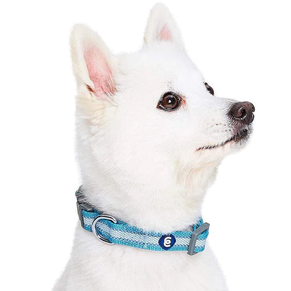 Blueberry Pet - Sky Blue | Back to Basics Reflective Dog Collar