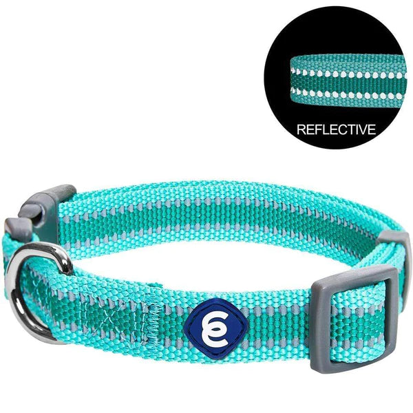 Blueberry Pet - Minty Green | Back to Basics Reflective Dog Collar