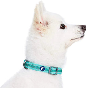 Blueberry Pet - Minty Green | Back to Basics Reflective Dog Collar