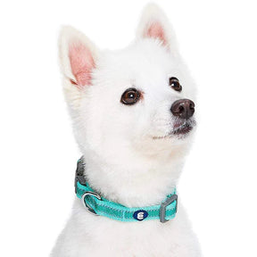 Blueberry Pet - Minty Green | Back to Basics Reflective Dog Collar