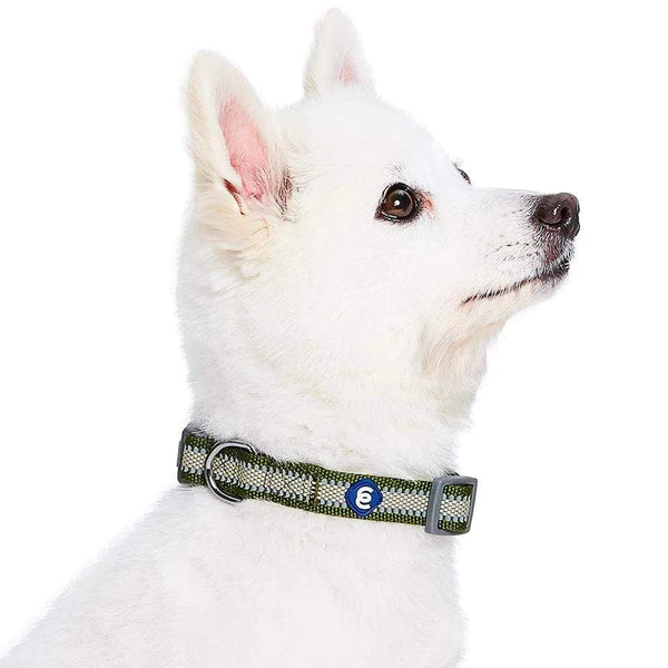 Blueberry Pet - Olive | Back to Basics Reflective Dog Collar