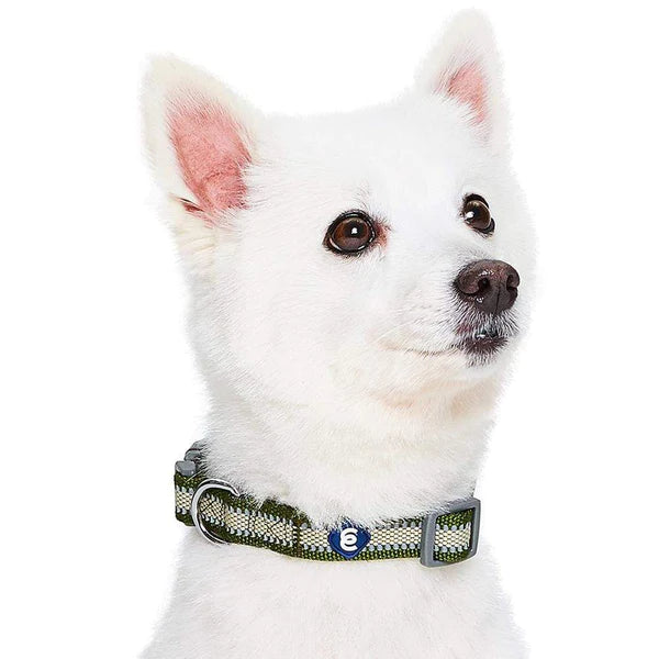 Blueberry Pet - Olive | Back to Basics Reflective Dog Collar