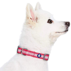 Blueberry Pet - French Pink | Back to Basics Reflective Dog Collar