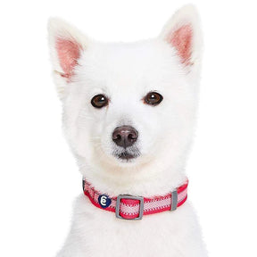 Blueberry Pet - French Pink | Back to Basics Reflective Dog Collar