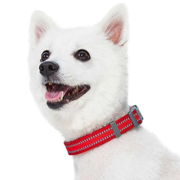 Blueberry Pet - Rogue Red | Back to Basics Reflective Dog Collar