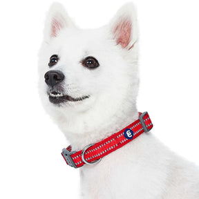 Blueberry Pet - Rogue Red | Back to Basics Reflective Dog Collar