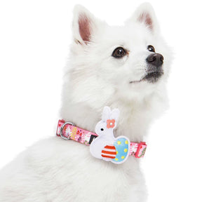 Blueberry Pet - Pink | Easter Bunny and Egg Dog Collar