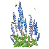 Salvia Violet Queen Seeds - Southern Agriculture 