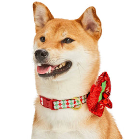 Blueberry Pet - Endless Diamonds | Christmas Dog Collar