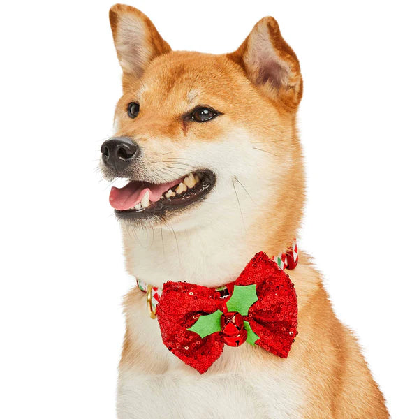 Blueberry Pet - Endless Diamonds | Christmas Dog Collar