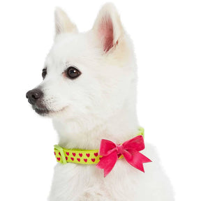 Blueberry Pet - Highlighter Green | Dotted Velvet Heart Dog Collar